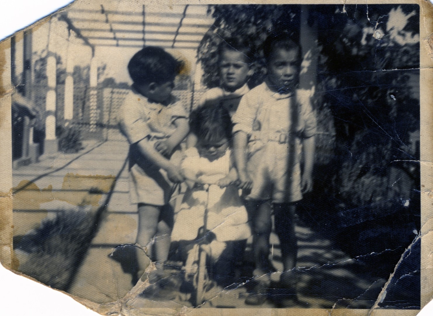 la pintana - siblings & cousins